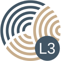 L3 Icon